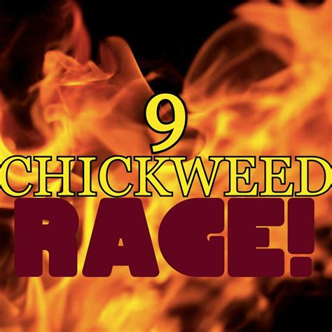 9 chickweed